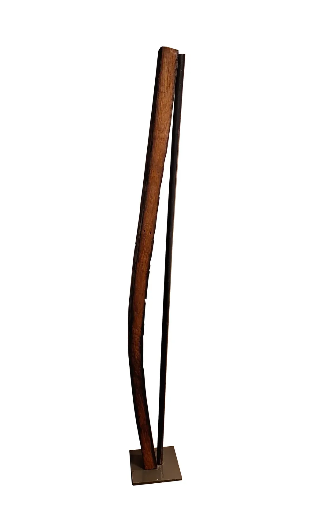 jedro