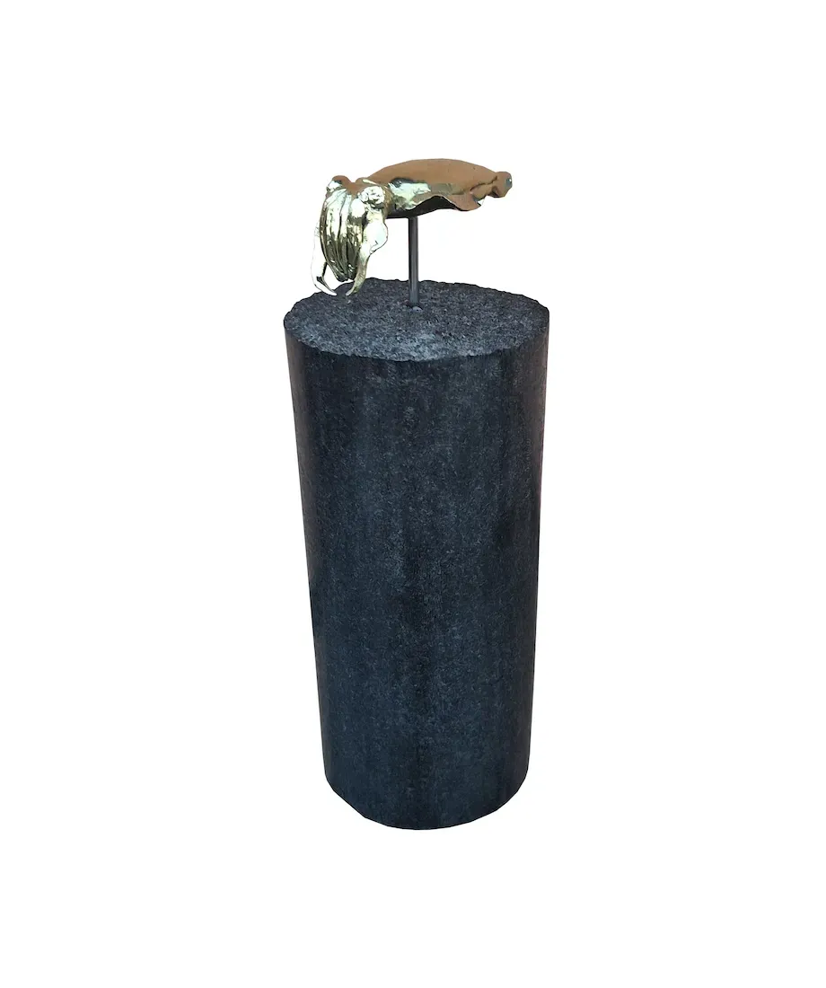Sipa